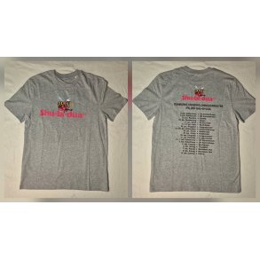 DUO-tour t-shirt (gr�)